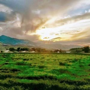 Meet your Posher, Jamie eckles